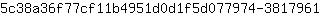 5***1