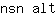 n***t