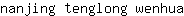 n***a