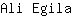 A***a