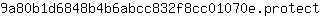 9***t