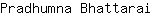P***i
