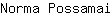 N***i