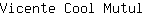 V***l