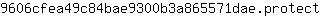 9***t
