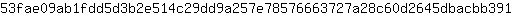 5***1
