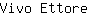 V***e