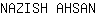 N***N