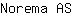 N***S