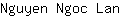 N***n