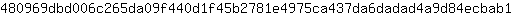 4***1