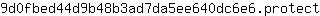 9***t
