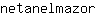 n***r