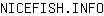 N***O