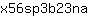 x***a
