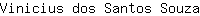 V***a