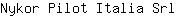 N***l