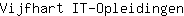 V***n