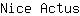 N***s
