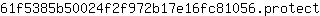 6***t