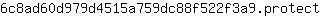 6***t