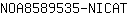 N***T