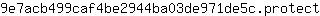 9***t