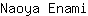 N***i