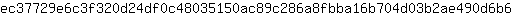e***6