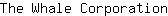 T***n