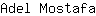 A***a