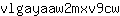 v***w