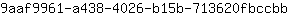 9***b