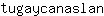 t***n