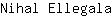 N***a