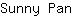 S***n
