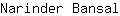 N***l