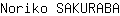 N***A
