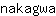 n***a
