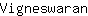 V***n