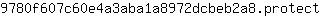 9***t
