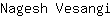 N***i