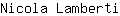 N***i