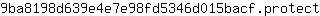 9***t