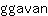g***n