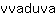 v***a