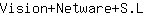 V***L