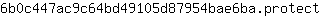 6***t