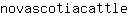 n***e