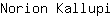 N***i